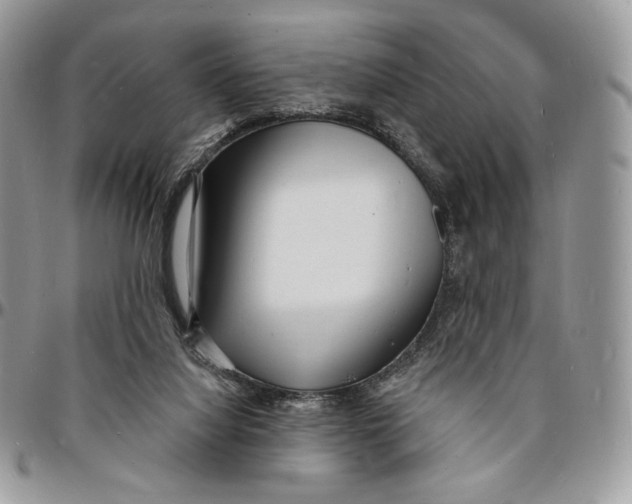 X0000096390068200802141505