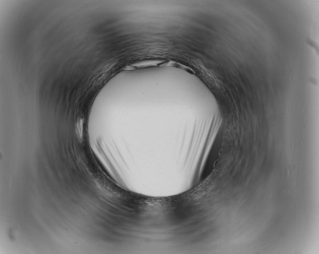 X0000096390070200802141505