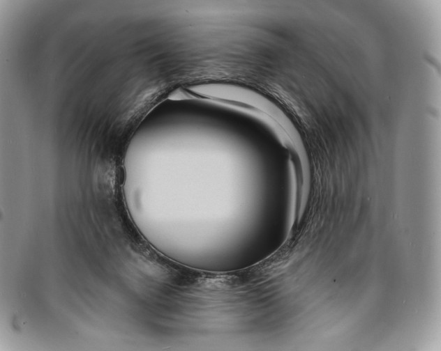 X0000096390072200802141505