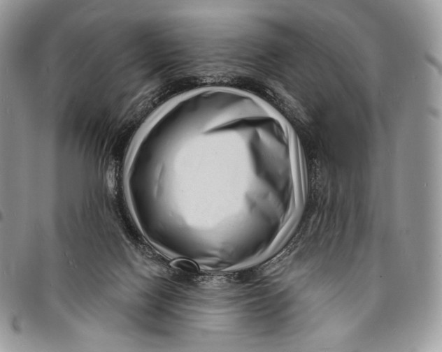 X0000096390074200802141505