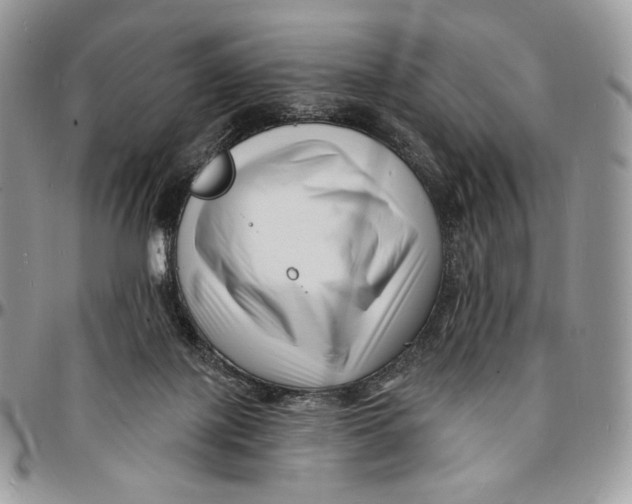X0000096390075200802141505