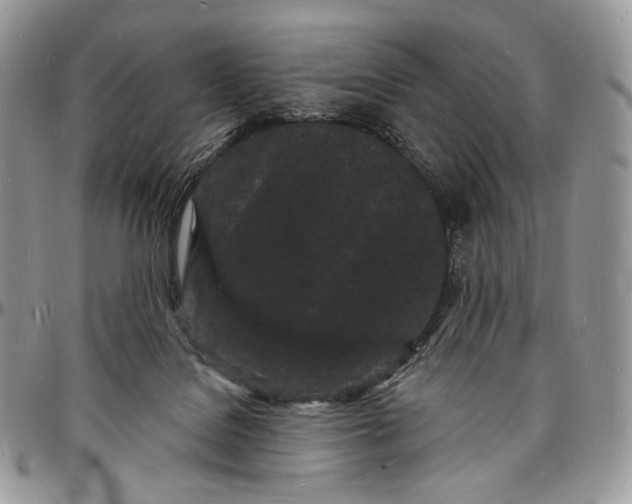 X0000096390076200802141505