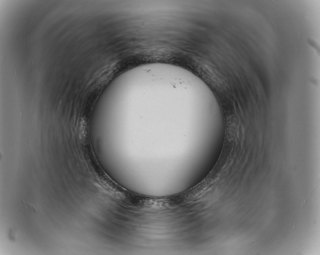 X0000096390077200802141505