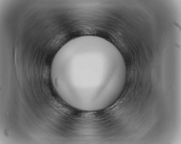 X0000096390078200802141505