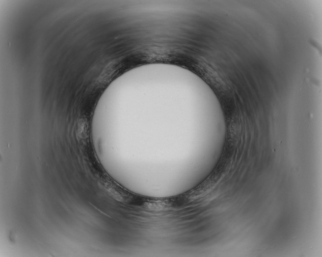 X0000096390079200802141505