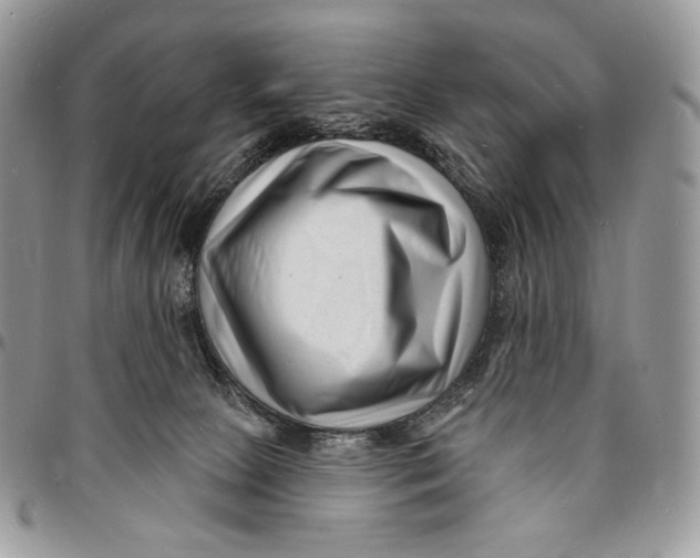 X0000096390081200802141505