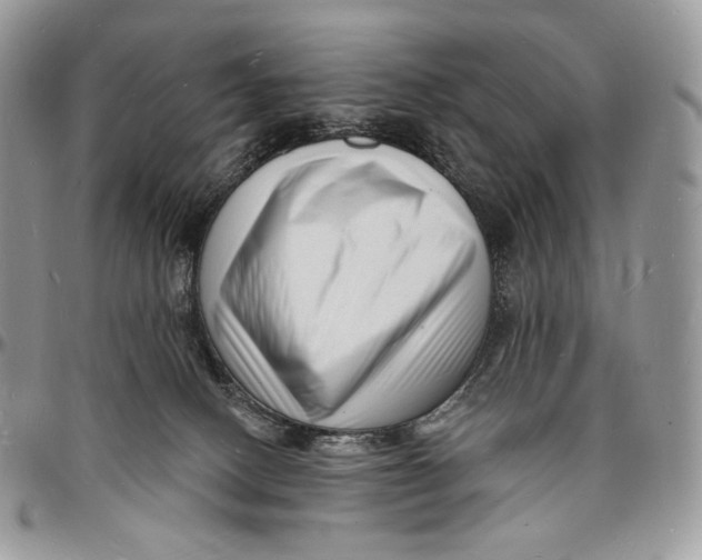 X0000096390082200802141505