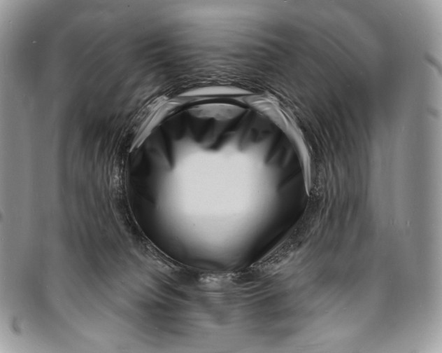 X0000096390084200802141505