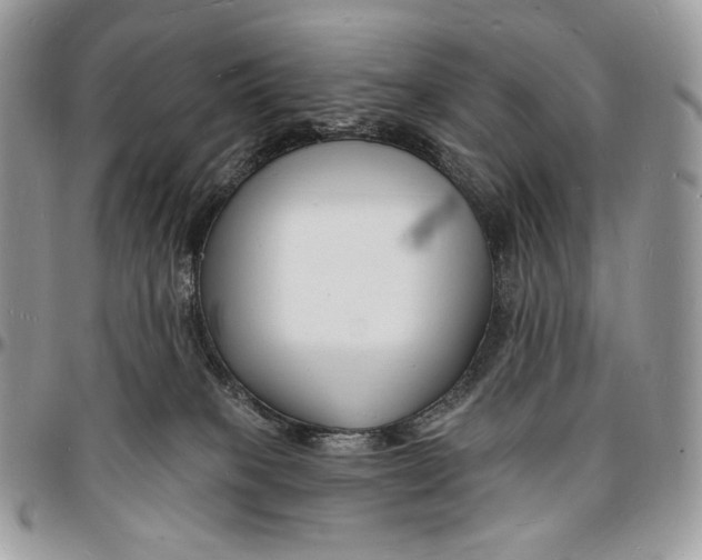 X0000096390085200802141505