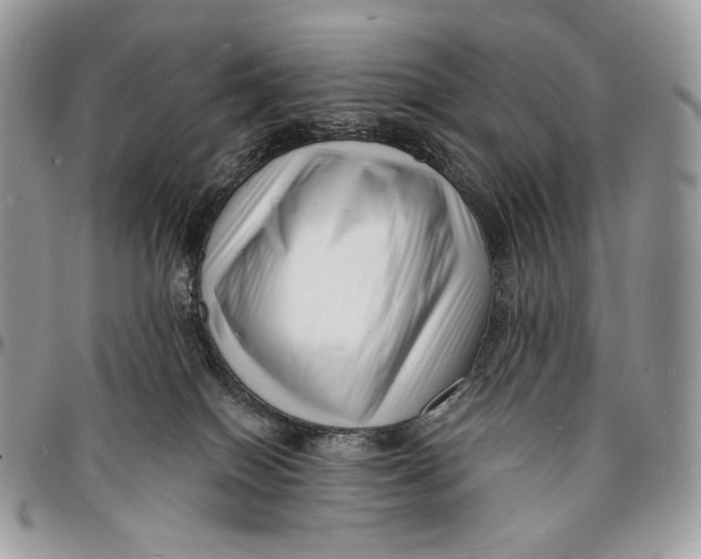 X0000096390086200802141505
