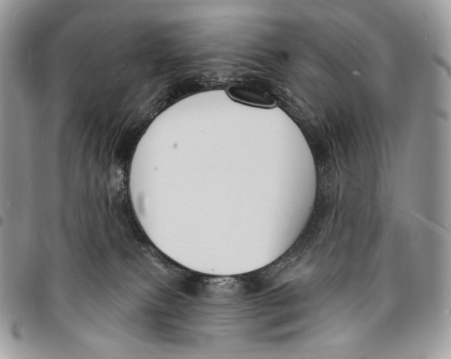 X0000096390087200802141505