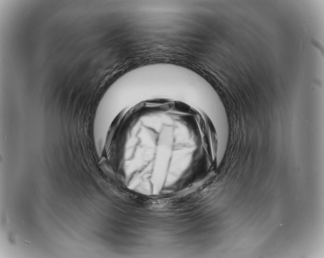 X0000096390088200802141505