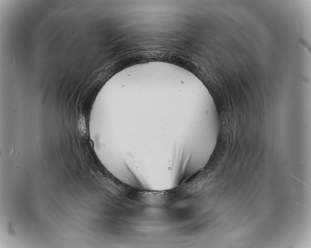 X0000096390089200802141505