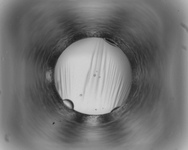 X0000096390090200802141505