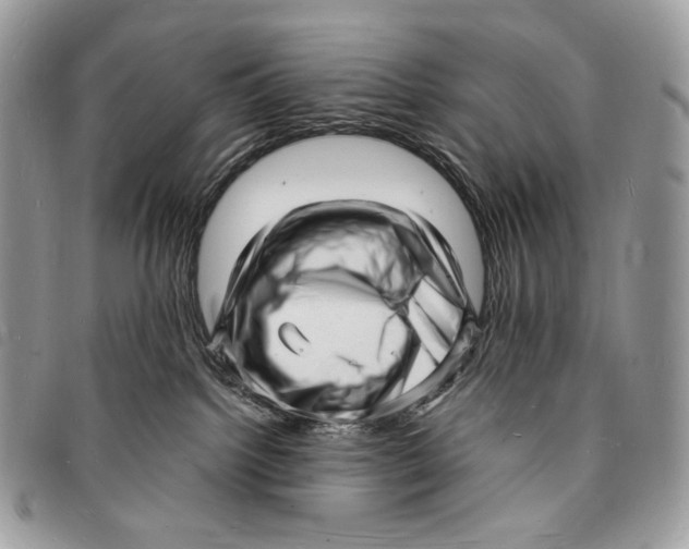 X0000096390092200802141505