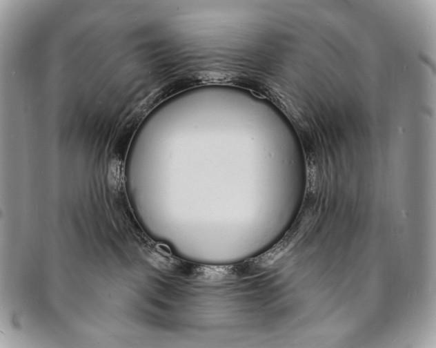 X0000096390093200802141505