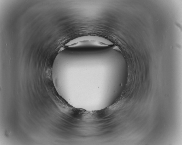 X0000096390096200802141505