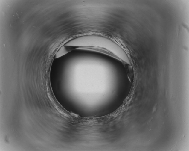X0000096390097200802141504