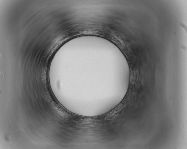 X0000096390098200802141504
