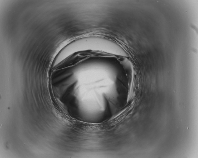 X0000096390100200802141504