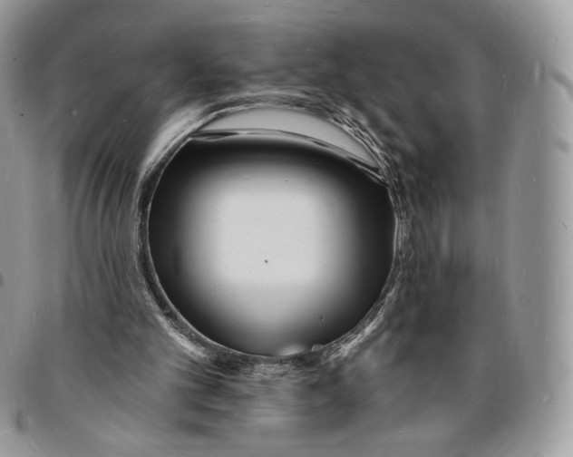X0000096390101200802141504