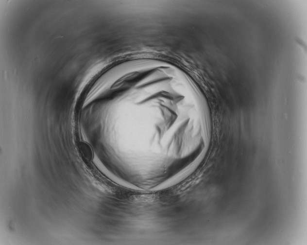 X0000096390102200802141504