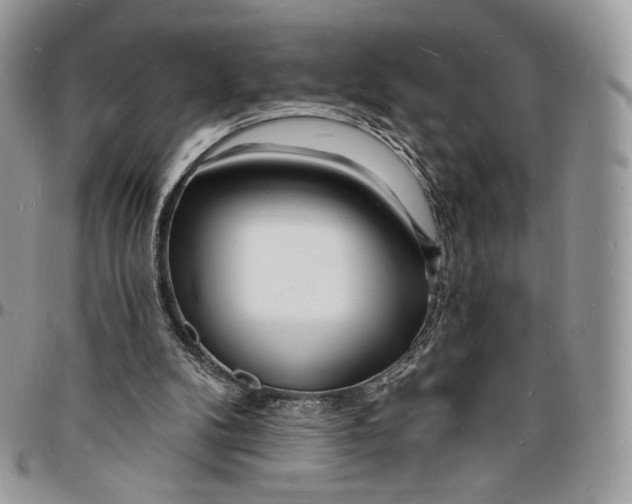X0000096390104200802141504