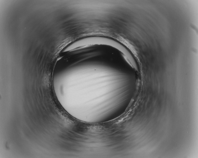 X0000096390105200802141504