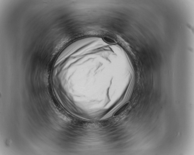 X0000096390106200802141504