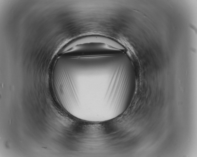 X0000096390108200802141504
