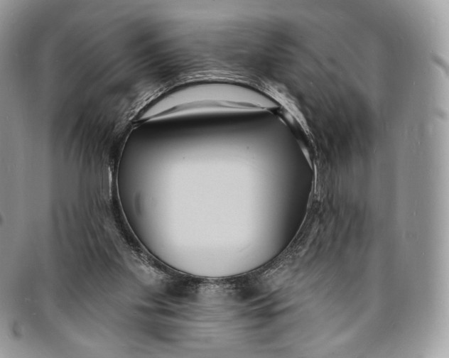 X0000096390109200802141504