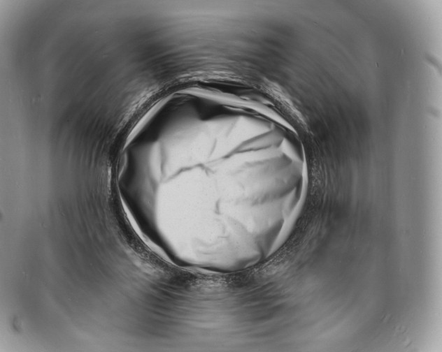 X0000096390110200802141504