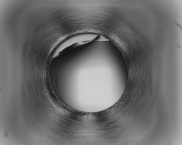 X0000096390112200802141504