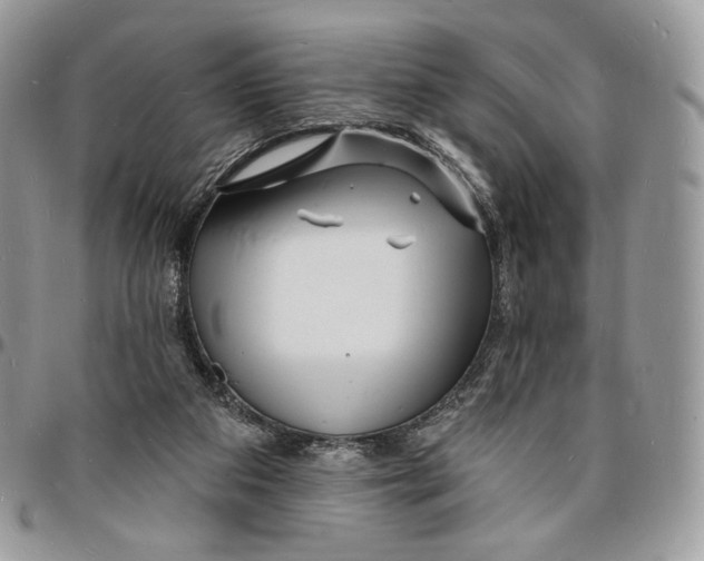 X0000096390113200802141504