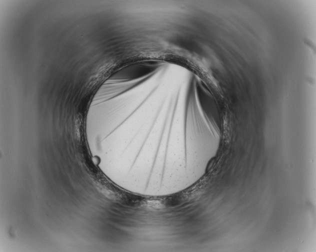 X0000096390114200802141504