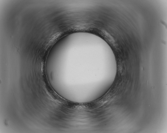 X0000096390115200802141504