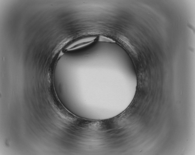 X0000096390116200802141504