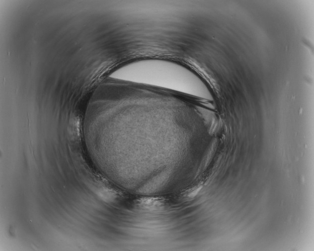 X0000096390117200802141504