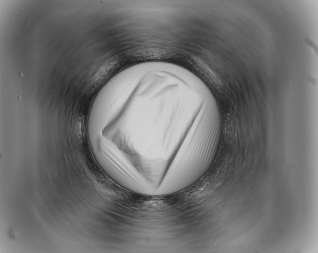 X0000096390119200802141504