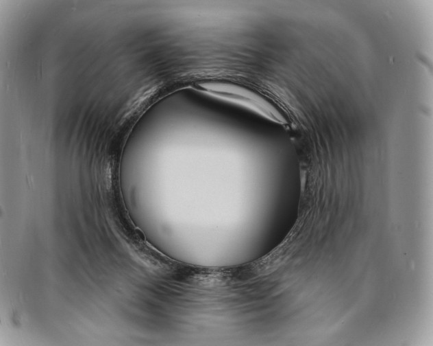 X0000096390120200802141504