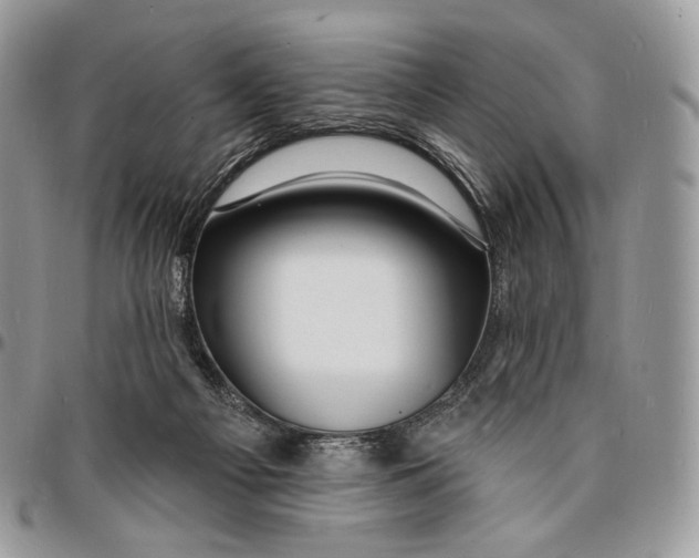 X0000096390121200802141504