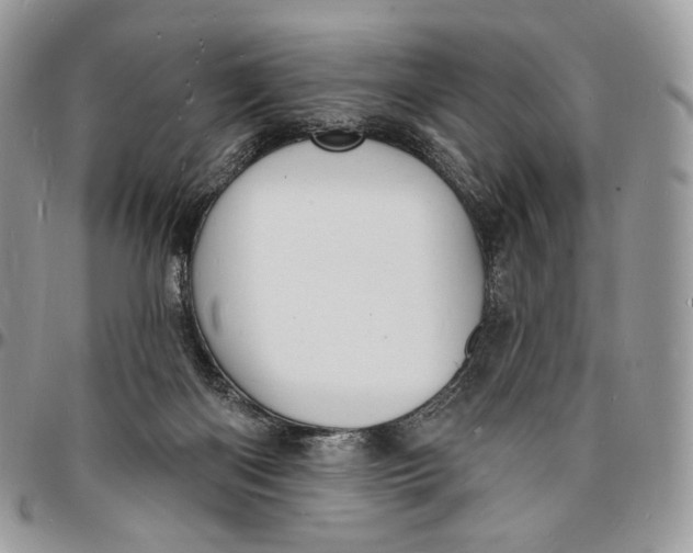 X0000096390122200802141504