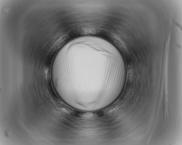 X0000096390123200802141504
