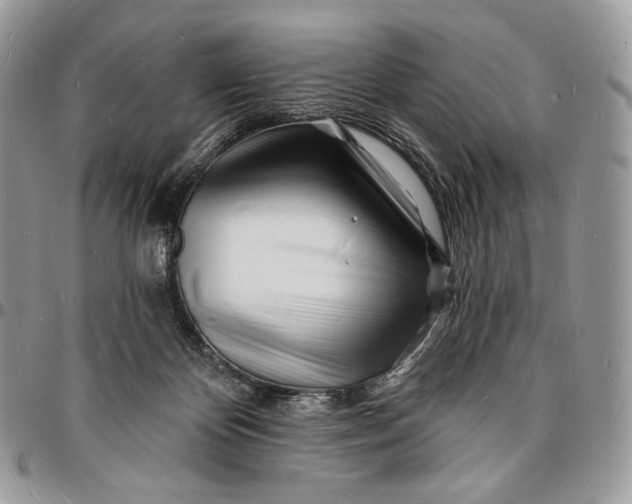 X0000096390124200802141504