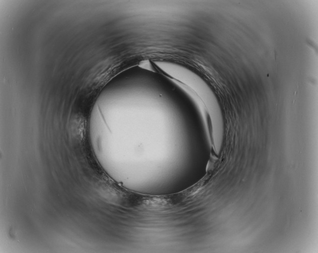 X0000096390125200802141504