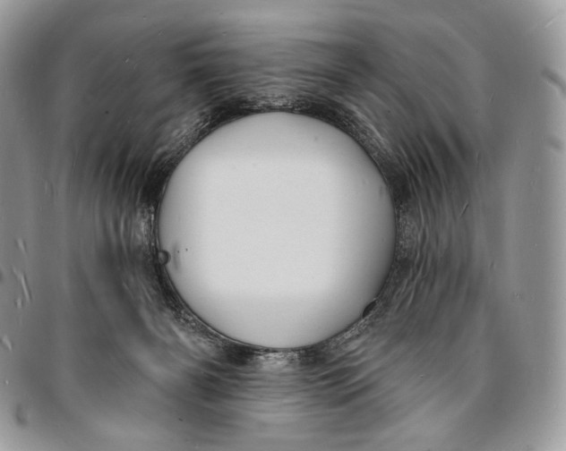 X0000096390126200802141504
