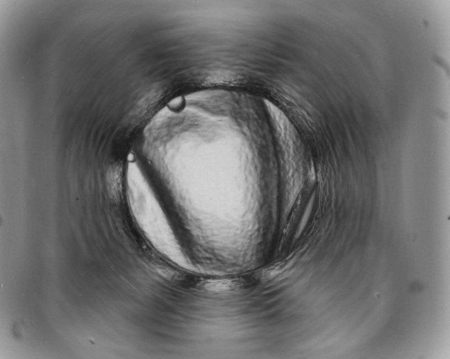 X0000096390127200802141504