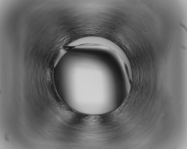 X0000096390128200802141504