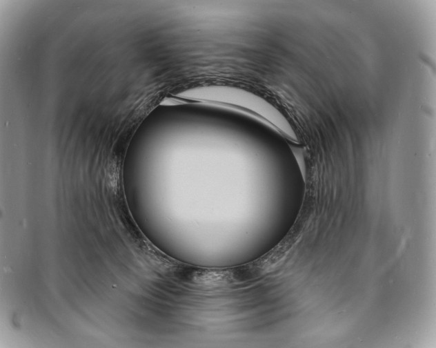 X0000096390129200802141504