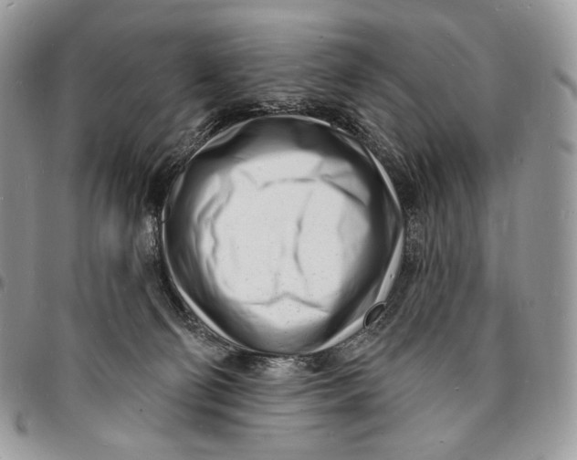 X0000096390130200802141504